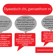 Duty of Quality Reports - Welsh Blood Service - December 4