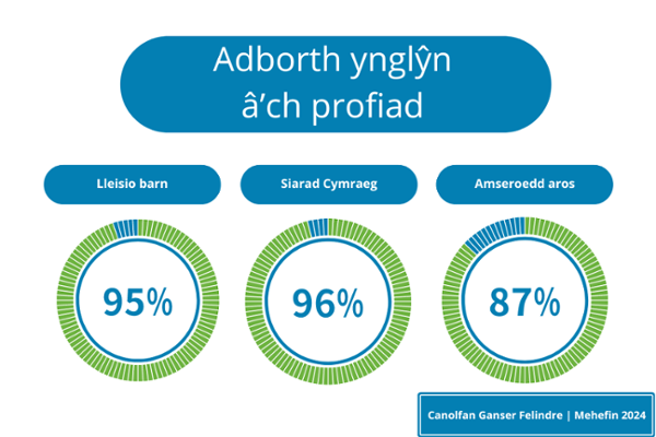 Being well cared for - 96%. Receiving assistance when needed - 95%. Patient understood their care - 95%.