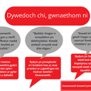 Duty of Quality Reports - Welsh Blood Service - November 4