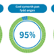 Being well cared for 92%. Receiving assistance when needed 95%. Patient understood their care 91%.