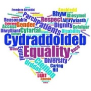 Equality Wordle.jpg