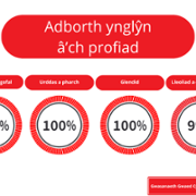 WBS Performance report December 2024 CY (3).png