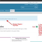 Adding the Screen Reader Plugin