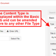 Document Content Type