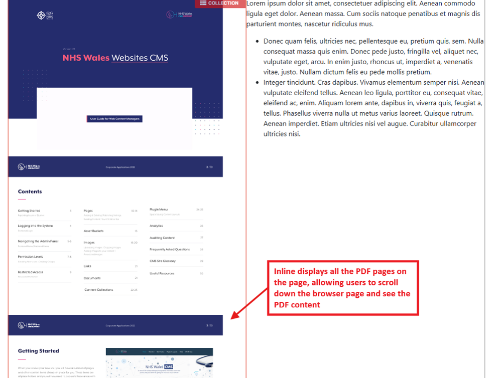 PDF Embed Viewer Overview - CMS Support