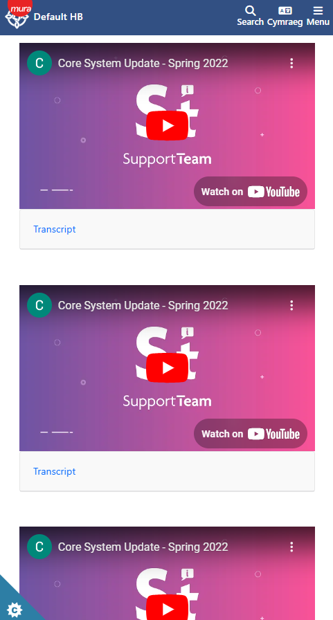 Video Plugin Overview - CMS Support