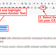 Anchor Links - Highlight text and Flag Icon