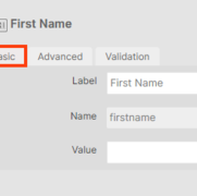 Form Basic Tab