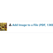 Document with an Image