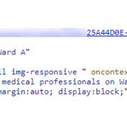 Alt Text in the HTML