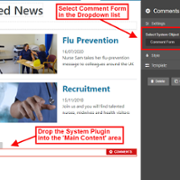 Display Region: Main Content