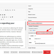 RemoveTranslationLink