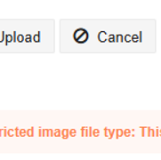 Quick Upload -Image restricted File Type .png