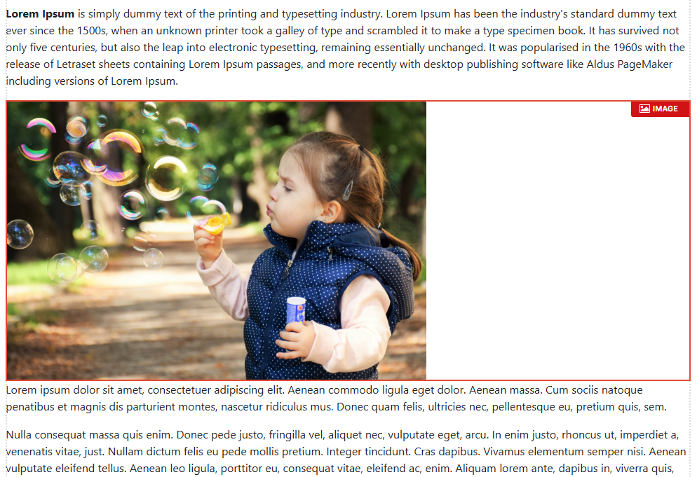 Image Plugin Overview - CMS Support