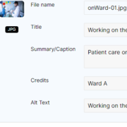 Adding Alt Text Example