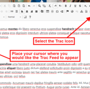 Trac Icon