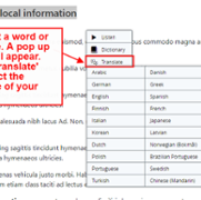 ReadSpeaker - Translate Text