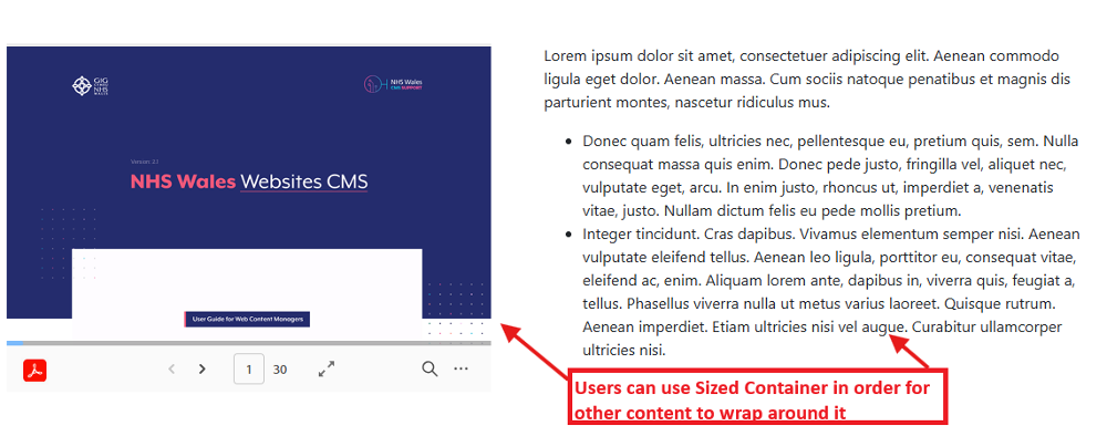 PDF Embed Viewer Overview - CMS Support