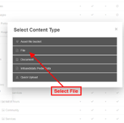 Content Type