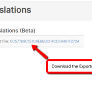 Download the Exported File