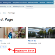 Pagination Example