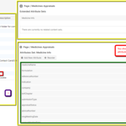 Extended attributes in class extensions