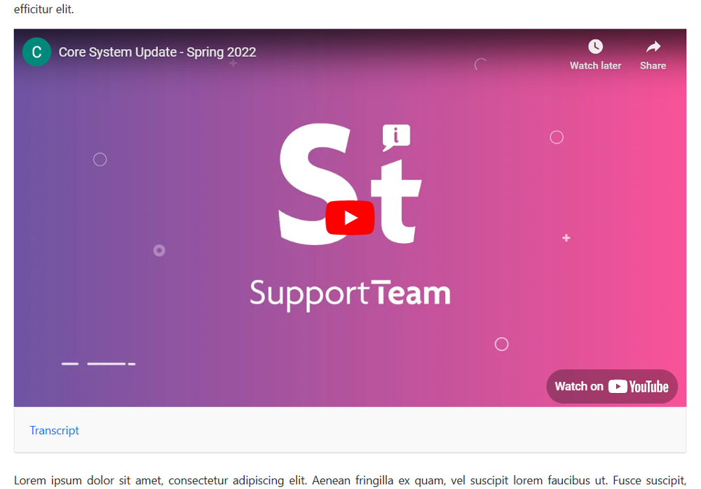 Video Plugin Overview - CMS Support
