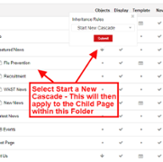 Start a New Cascade