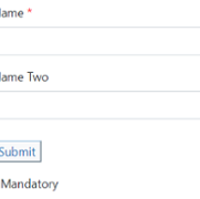 Form Mandatory Field