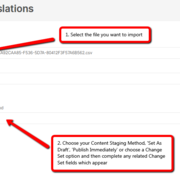 Choose the file to import and translate