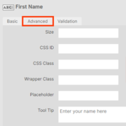 Form ToolTip