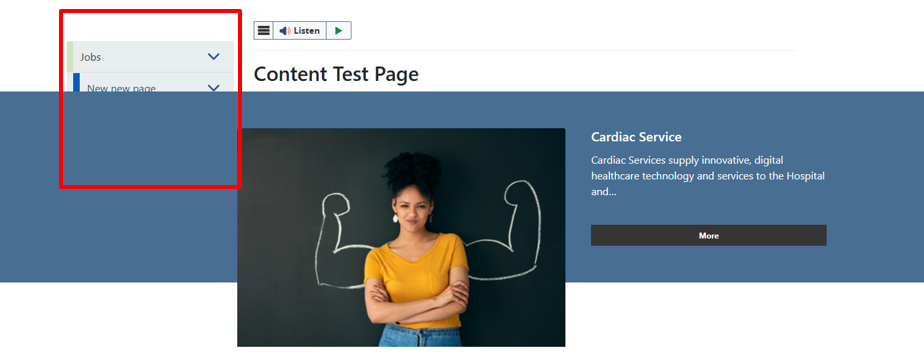 Single Content 1 Overview - CMS Support