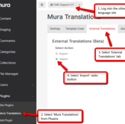 Selecting the Import option
