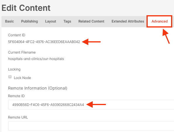 youtube cc auto translate youtube cc auto translate